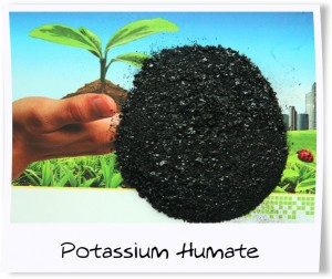 Potassium-Humate